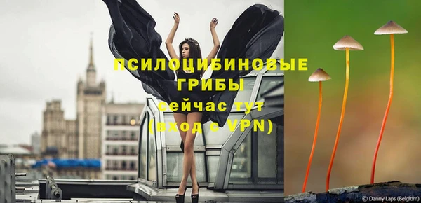 спиды Абдулино
