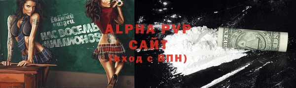 a pvp Новозыбков