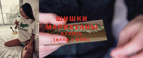 a pvp Новозыбков
