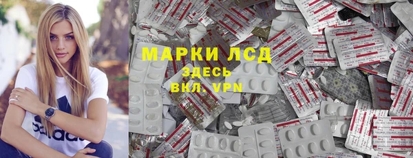 a pvp Новозыбков