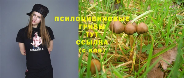 a pvp Новозыбков