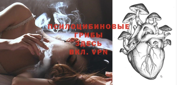спиды Абдулино