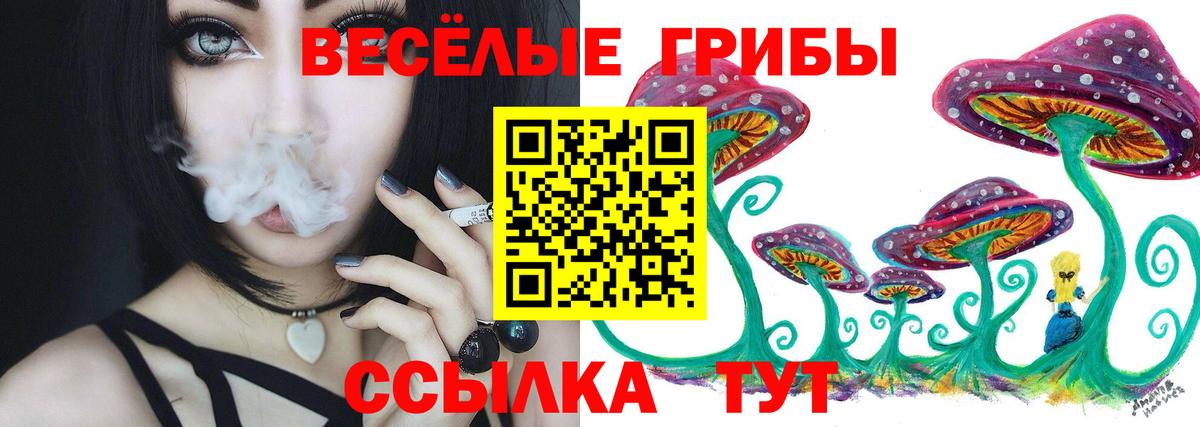 Галлюциногенные грибы Psilocybe Лангепас